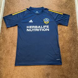 LA Galaxy Adidas 2020 On Field Training Jersey 