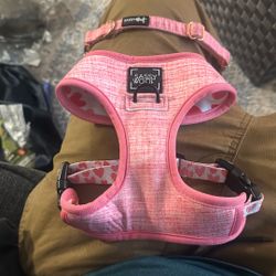 Sassy Woof Small Dog Harness & Small Collar 