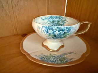 Hines Newton Hand Painted Floral Teacup and Saucer Set