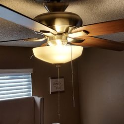 Ceiling Fan