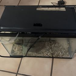 Small Aquarium 18 Inch By 10 Inch