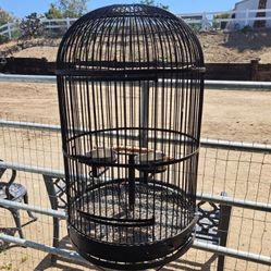 Parrot Cages 
