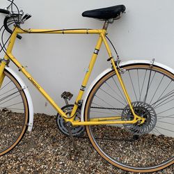 Vintage carpenia Road Bike $150
