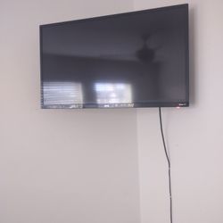 29 Inch Roku Television With Wall Mount