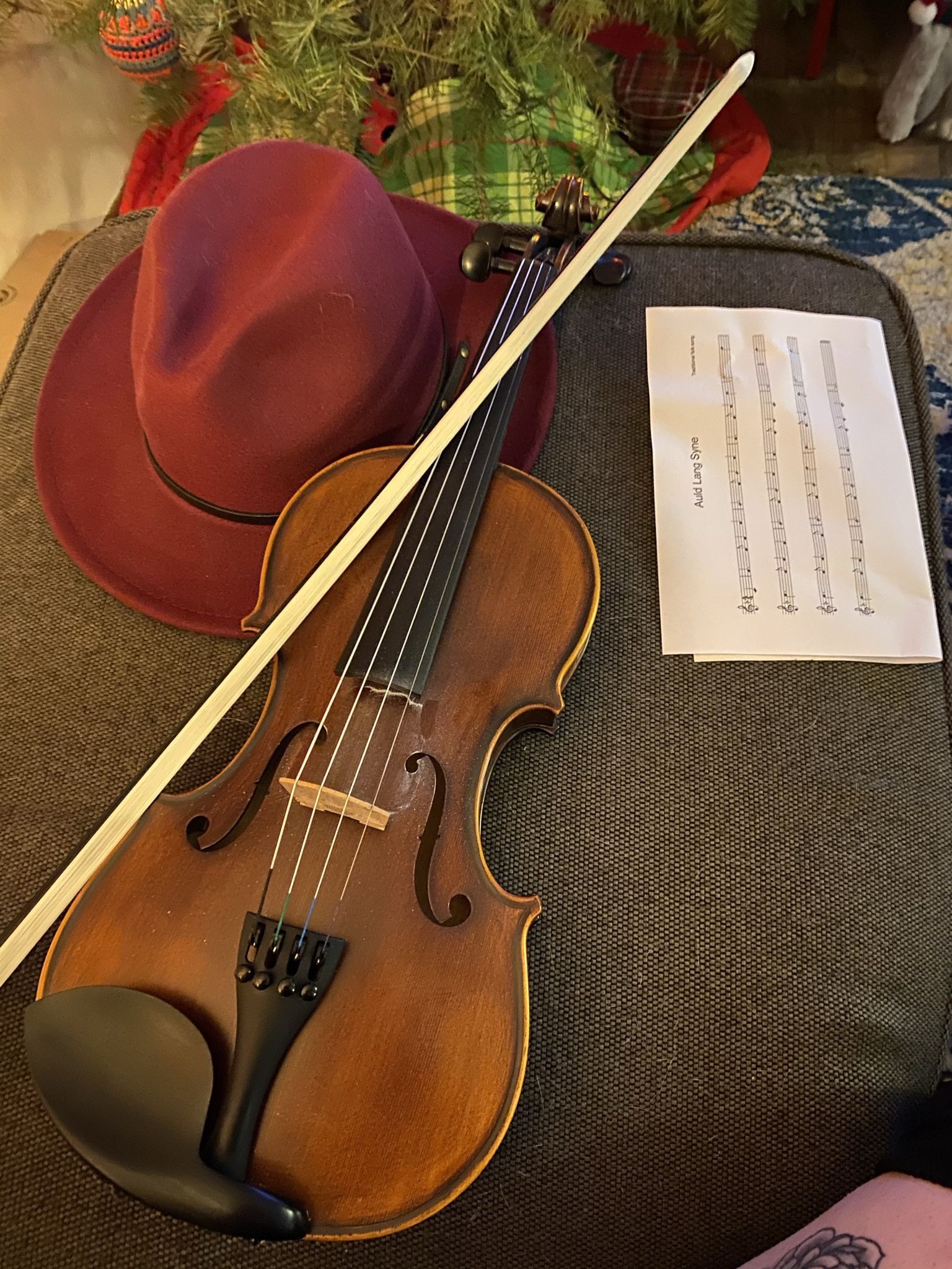 Fiddlerman Apprentice 4/4 Violin/fiddle Outfit 