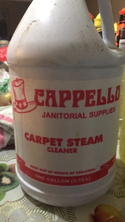 Carpet steam cleaner
