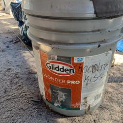 Kiss Brown 5 Gsllon Paint