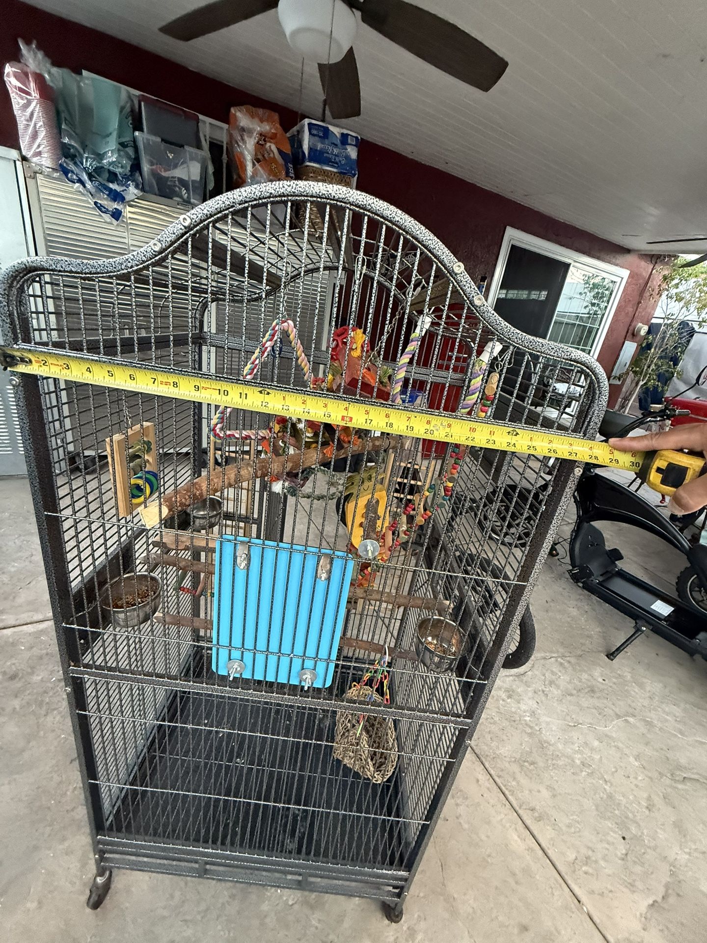 Bird Cage