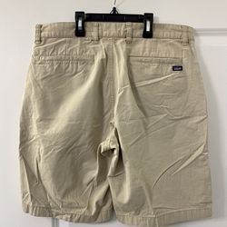 Patagonia Men’s Size 32 Shorts 