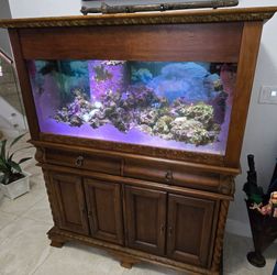 Pecera fish tank 75 Galones