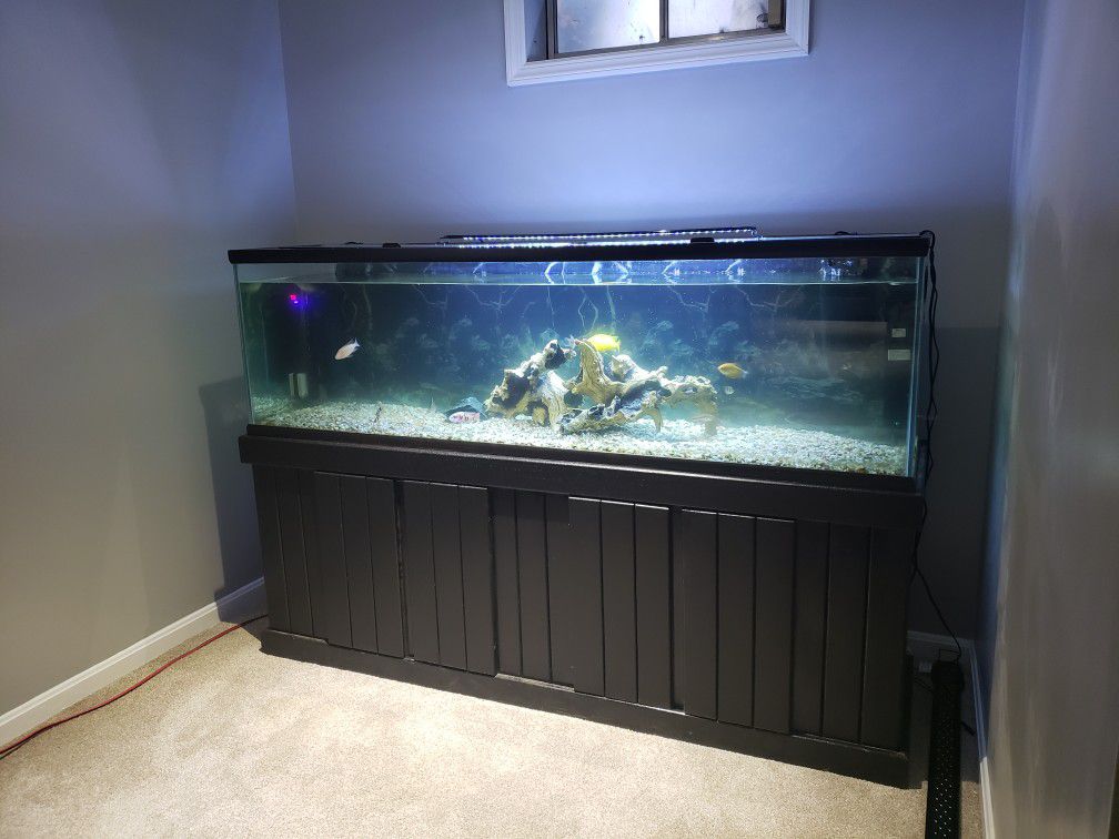 100 gallon tank and stand
