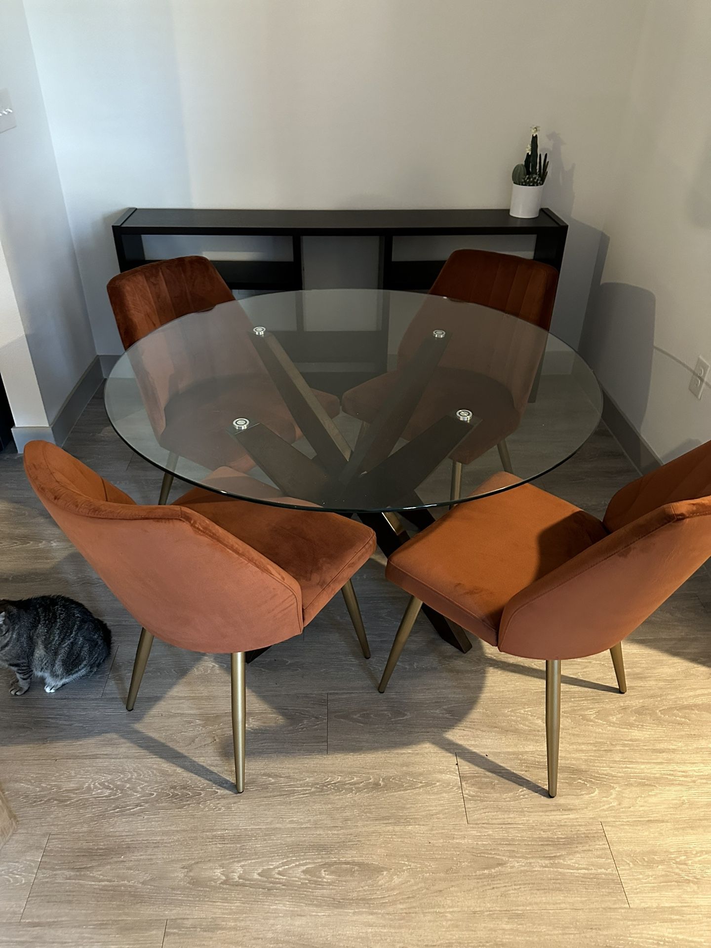 Modern Retro Dining Set!