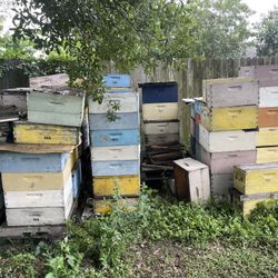 Selling Honey Bee Boxes All For Sale Together MAKE ME YOUR BEST OFFER