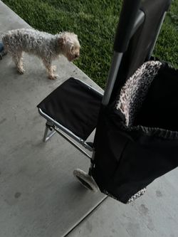 Portable Chair
