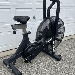 ROGUE ECHO BIKE