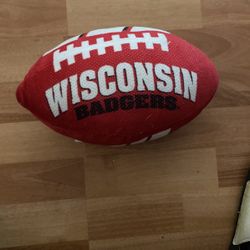  Wisconsin Plush Football 