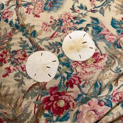 Set Of Two Sand Dollars
