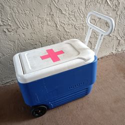 Carry On Cooler