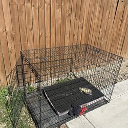 Big Dog Crate