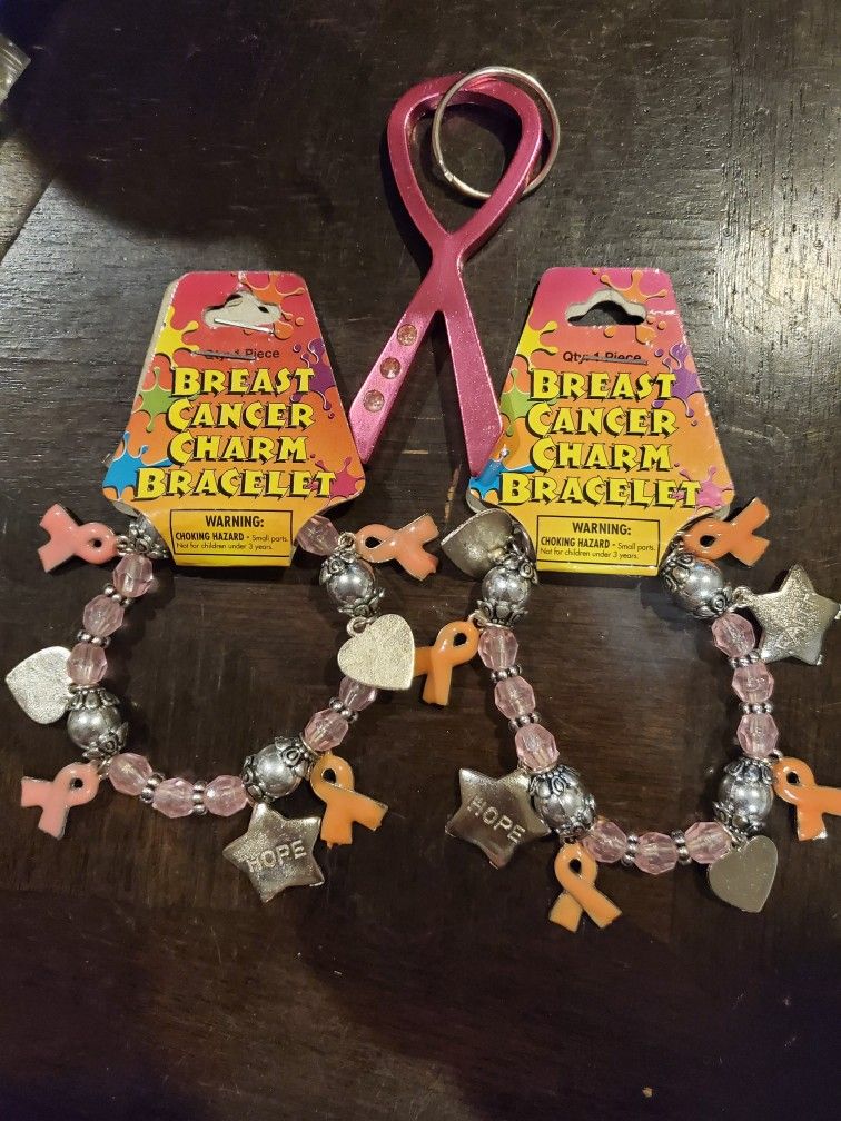 ☆BREAST CANCER☆CHARM BRACELET☆