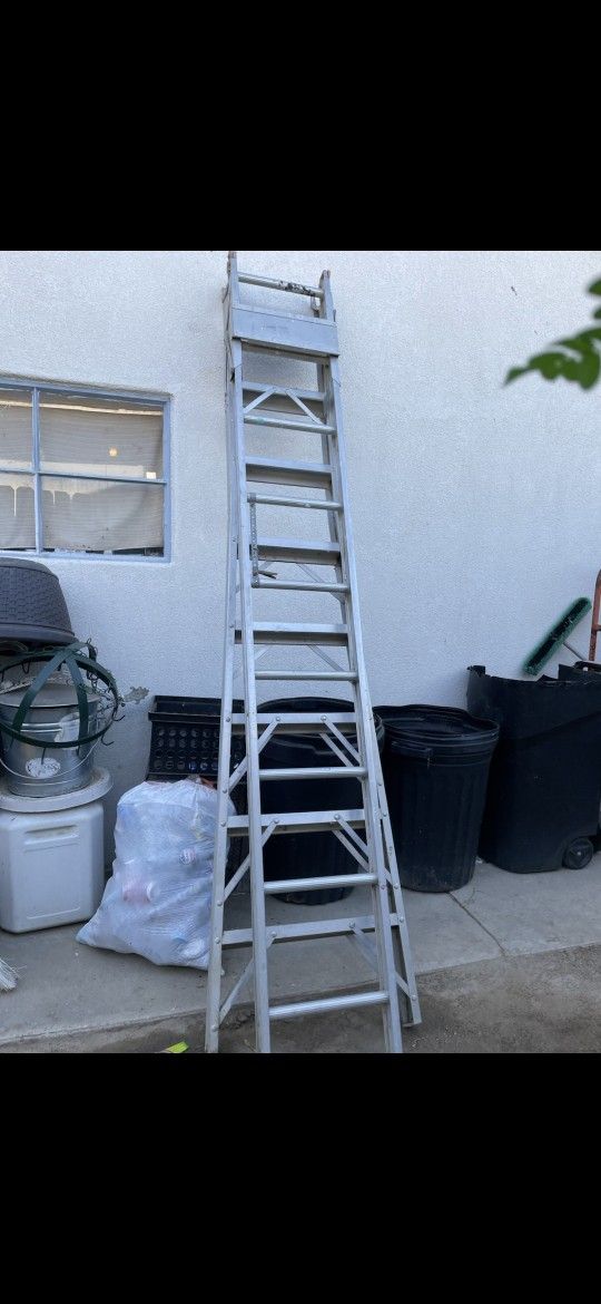 Ladder South H And Wilson 