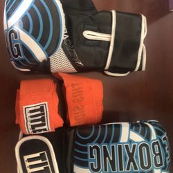 Kickboxing Gloves 