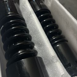 Progressive 11 in .lowering shocks