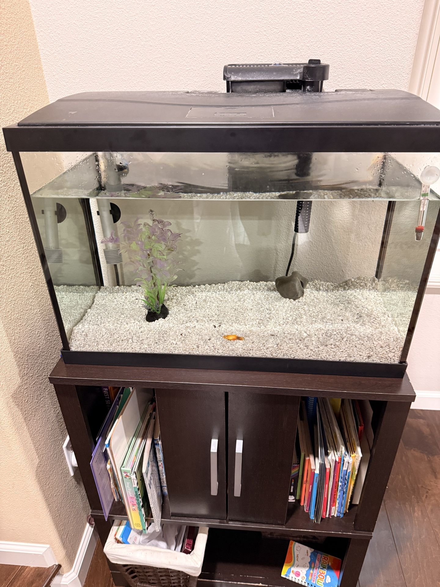 Fish Tank 20gallon Fresh Water