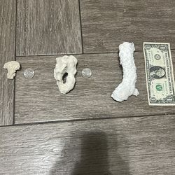 Coral ranging from 5-8$