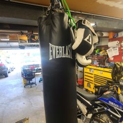 Everlast Punchung Bag