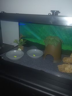 20 Gallons Long Top Opening Reptile Tank Kit 