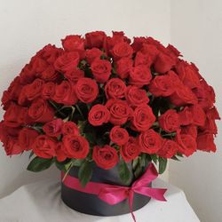 Flower Arrangements 