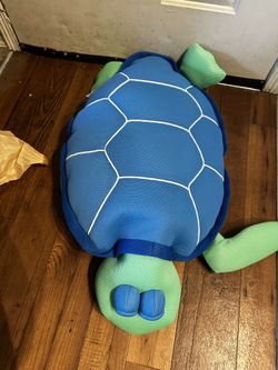 Pool Float