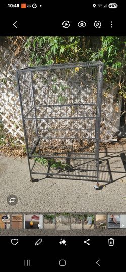 Parrot cage