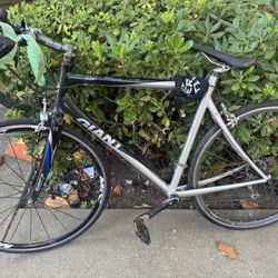very light bike giant brand 