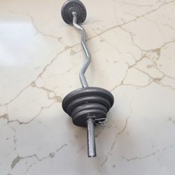 Curl Bar with 41 lbs of Weight Plates