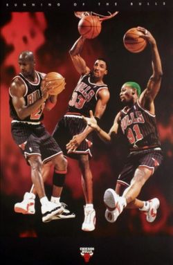 Vintage Chicago Bulls 1996 Running of The Bulls Poster 16" X 20"  Mint sealed. See our other great vintage sports trading cards art antiques jewelry w