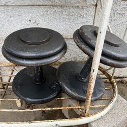 40lb old school weights