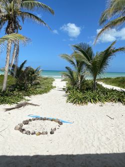 Get Back Your Photos From Old Device Memory 