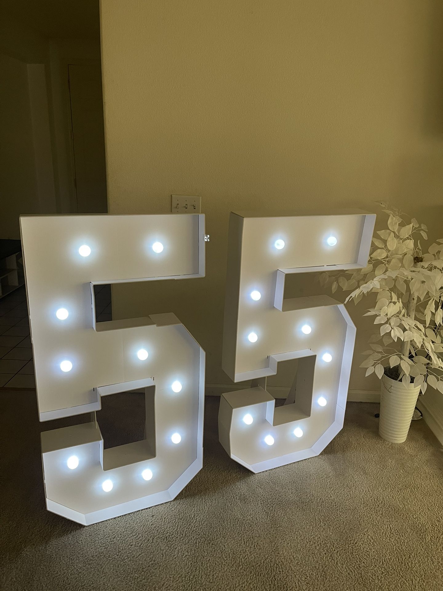 Number Signs