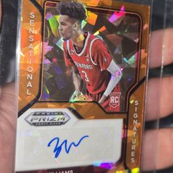 Ziaire Williams RC Autographs(2) NETS