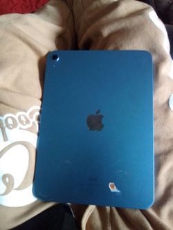 Apple iPad Blue Tablet