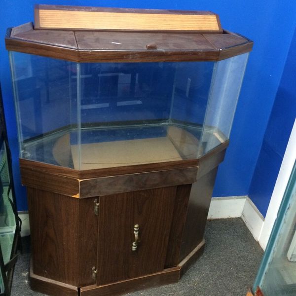 20 gallon stretch Hexagon fish tank for Sale in Philadelphia, PA - OfferUp