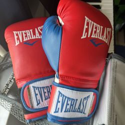 Everlast Power lock Training Gloves 14oz