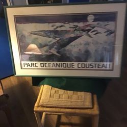 Parc Oceanique Cousteau