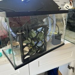 3 Gallon Tank For 20$