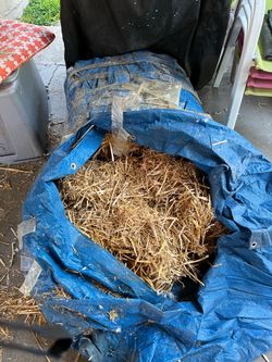 Free straw