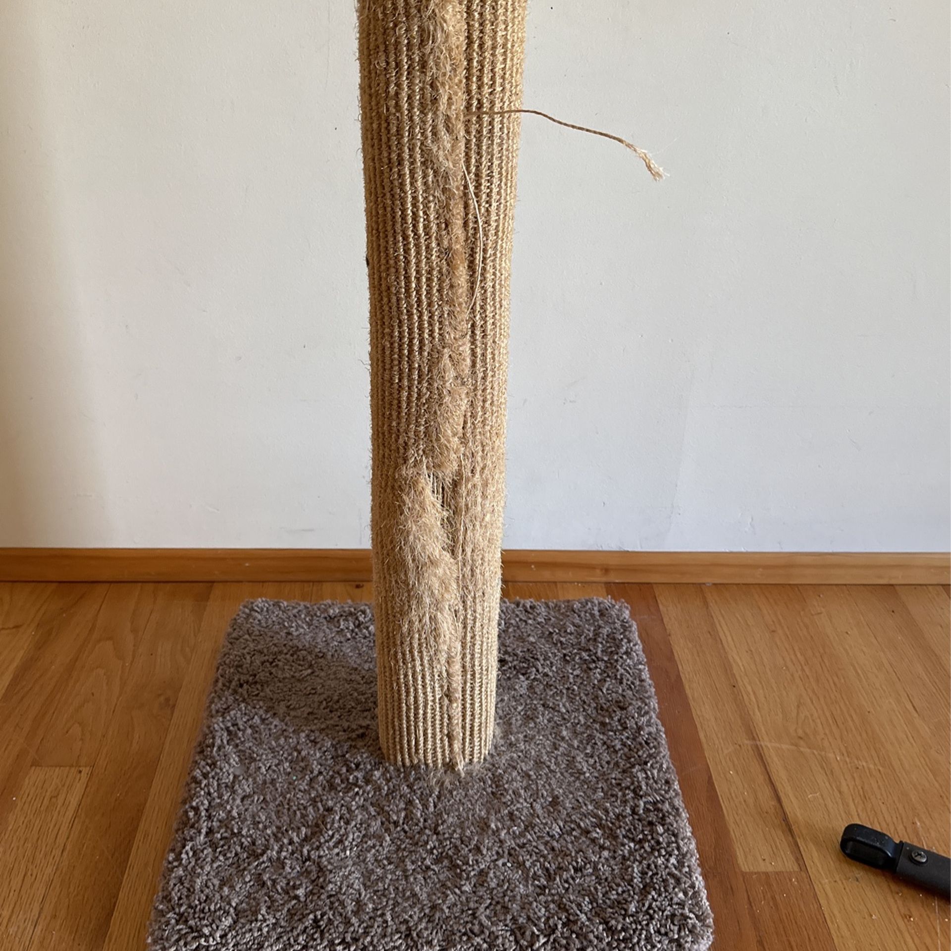 Used Cat Scratching Post