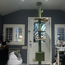 Used Cat Tree In Good Conditions