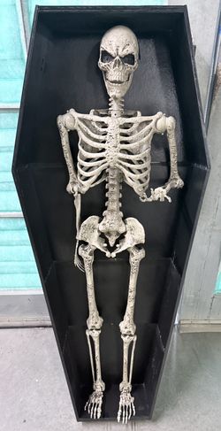 Halloween Casket Decoration Or Real Shelf